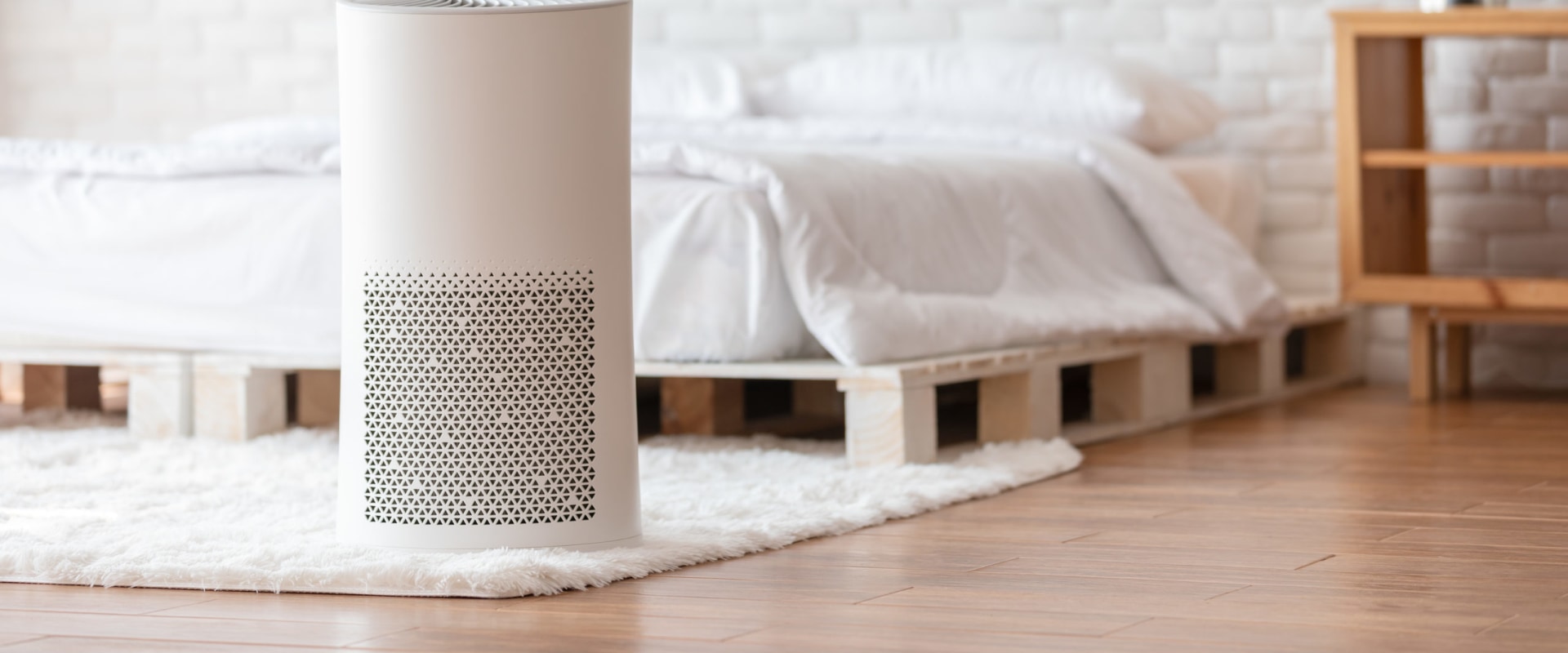 Can Air Purifiers Make You Sick?
