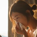 Do Filters Really Help with Allergies?