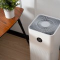 Do HEPA Filters Work for Allergies?