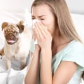 What is the Best Filter for Allergy Sufferers?