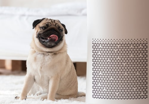 Do EveryDrop Filters Remove PFAS? An Expert's Guide