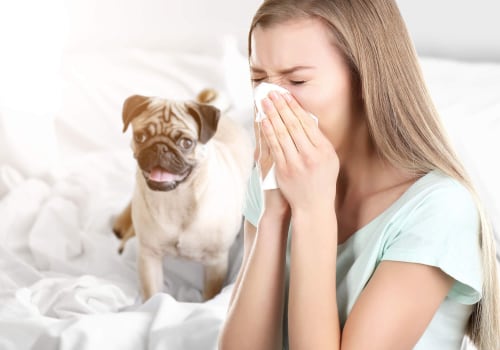 What is the Best Filter for Allergy Sufferers?