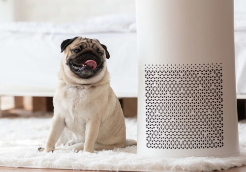 Do Air Purifiers Make Allergies Better?